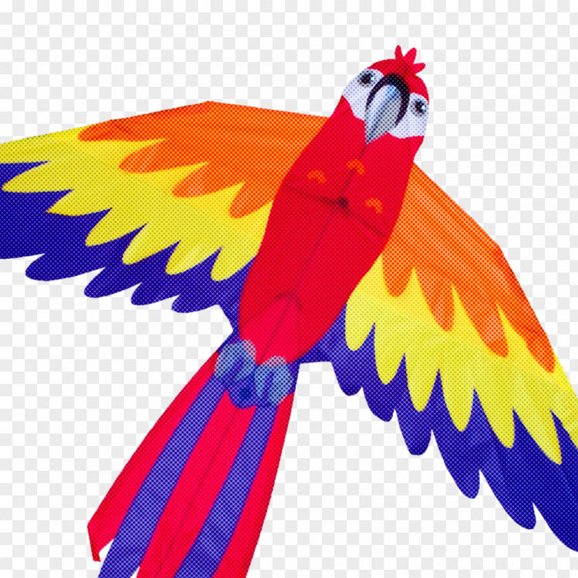 Feather PNG