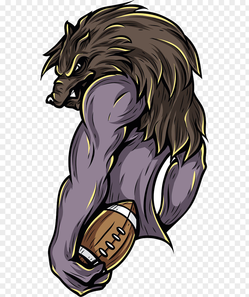 Holding Football Cartoon Animal Pictures Wild Boar Illustration PNG