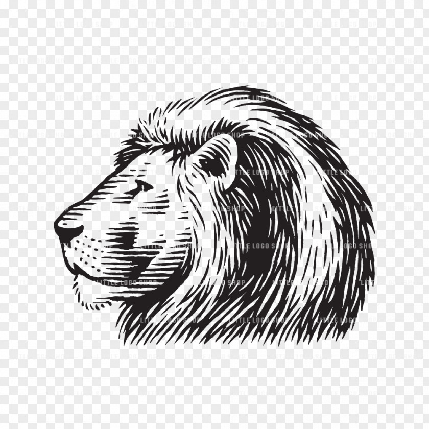 Lion Tiger Logo Wood Roar PNG