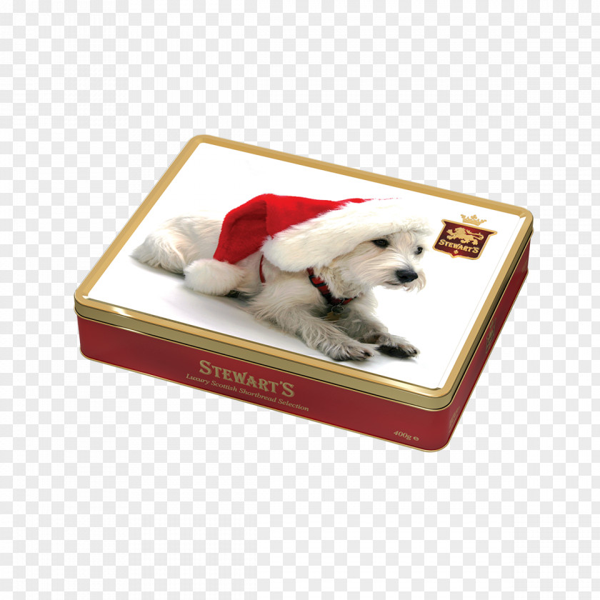 Puppy West Highland White Terrier Christmas And Holiday Season United States PNG