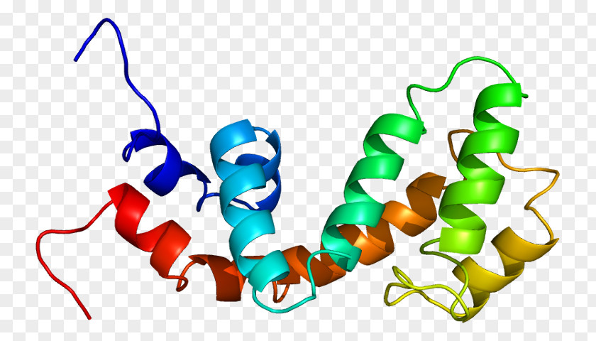 RGS18 Regulator Of G Protein Signaling Gene GTPase-activating PNG