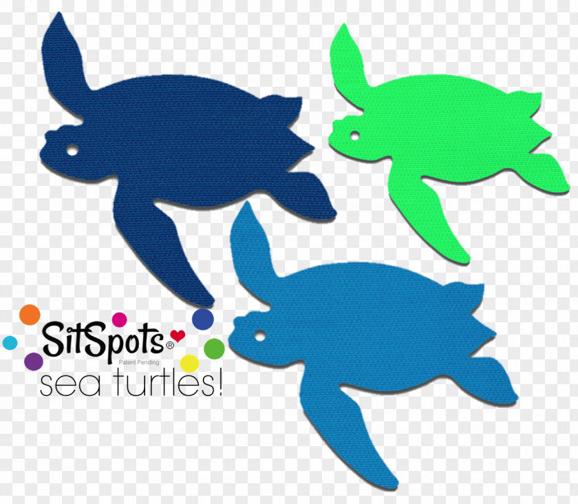Sea Turtles Art Turtle Teacher Classroom Clip PNG