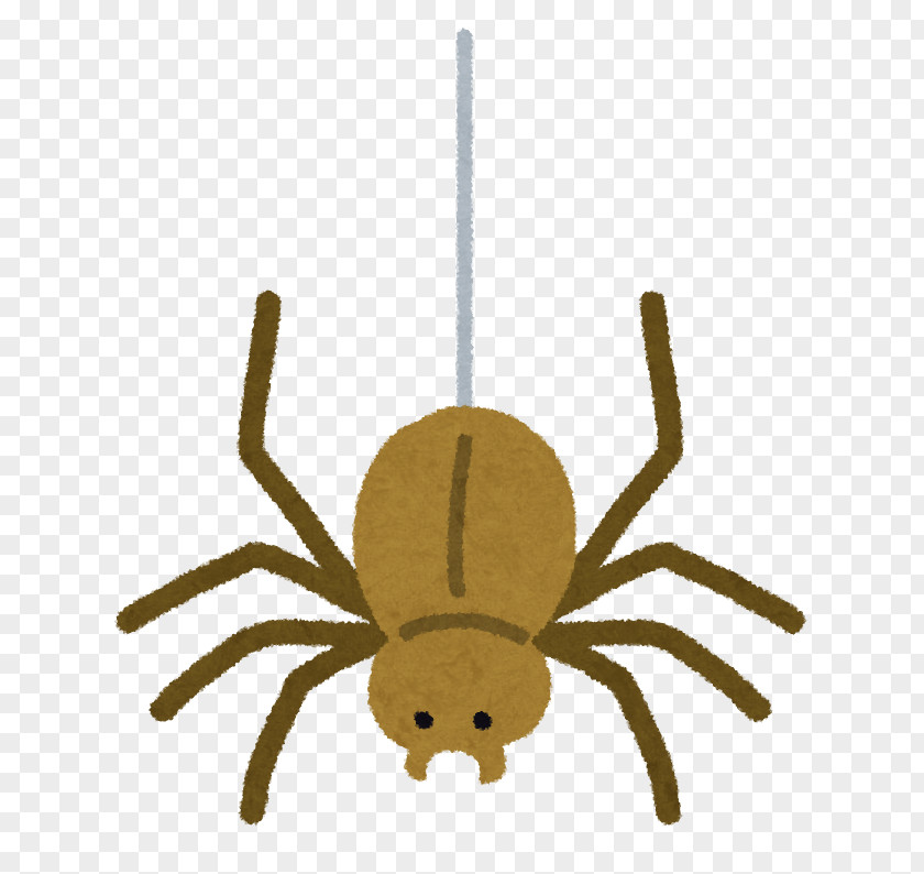 Spider Meaning Synonym Opposite Japan PNG