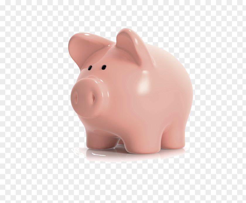 Dental Braces Piggy Bank Snout Product Design PNG