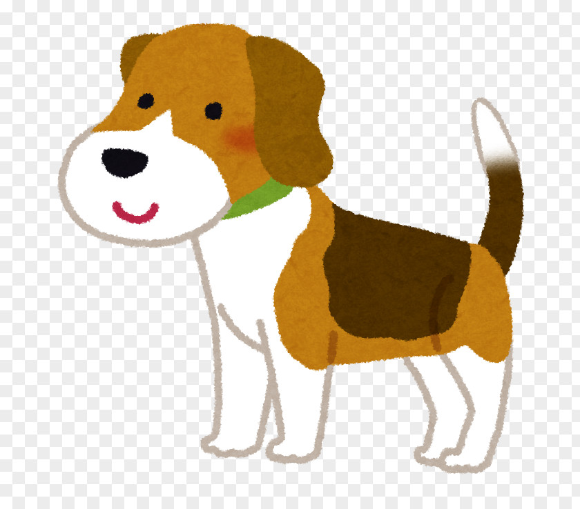 Dog Beagle Puppy American Cocker Spaniel Shih Tzu Food PNG