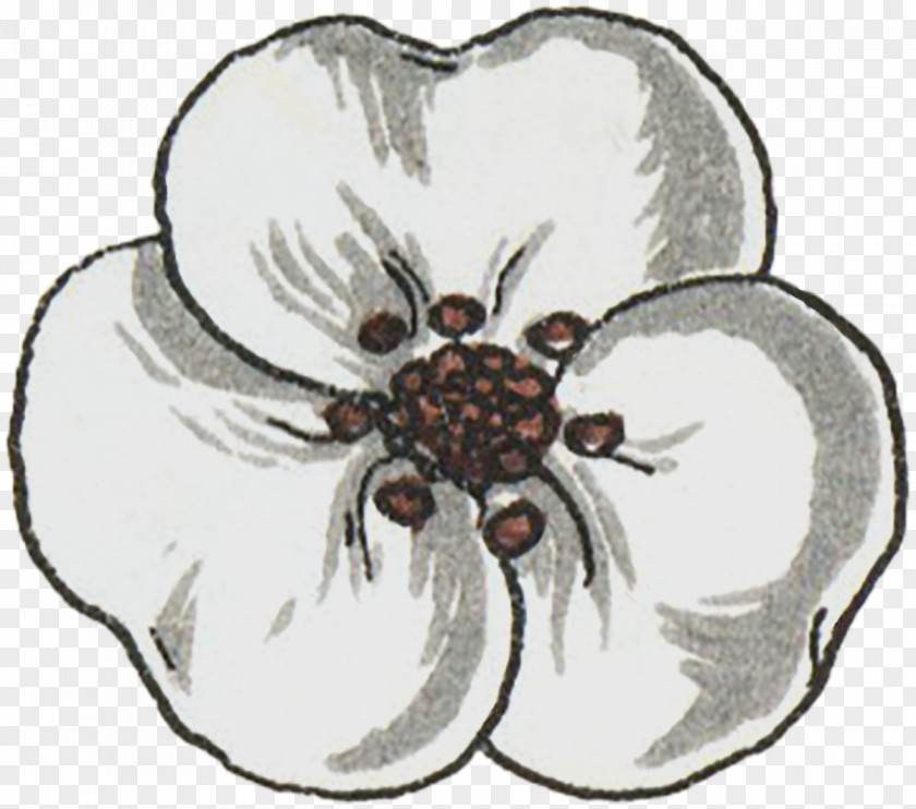 Insect Pollinator Petal Tableware PNG