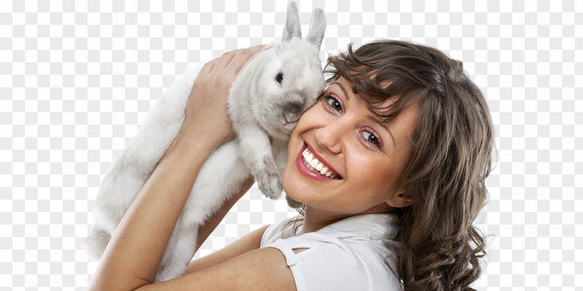 Rabbit European Veterinarian Photography Woman PNG