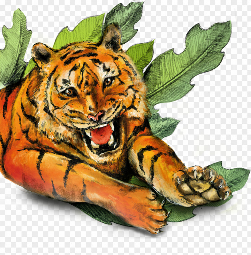 SAVE PLANET Tiger Cat Earth Wildlife Terrestrial Animal PNG