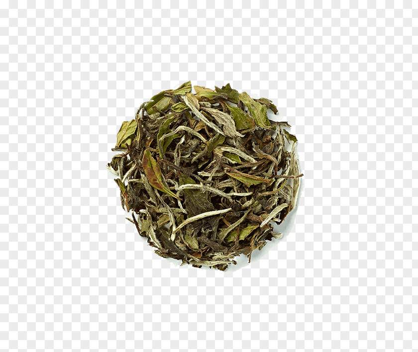 Tea Hōjicha Nilgiri Bancha Sencha PNG