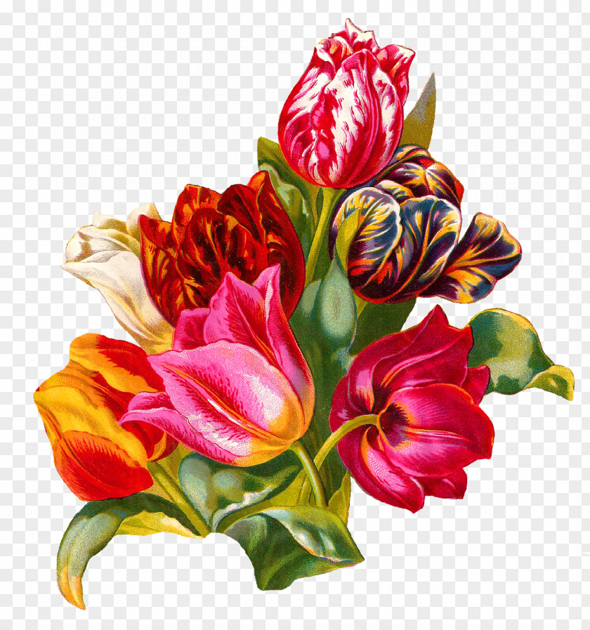Botanical Flower Bouquet Tulip Floristry Cut Flowers PNG