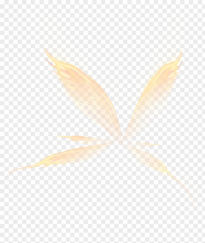 Creative Wings White Angle Pattern PNG