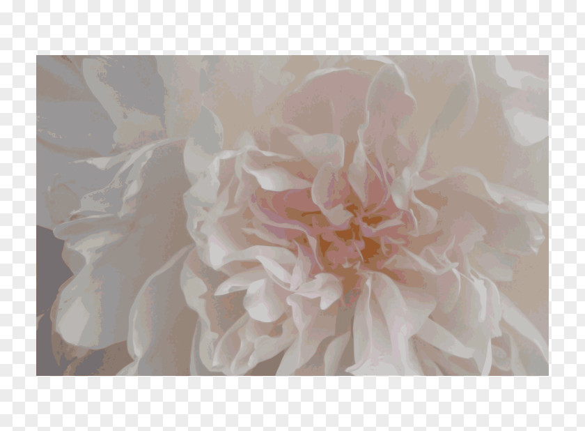 Pink Peony Free Wedding Ceremony Supply Flower PNG