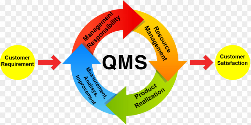 Quality Management System Organization PNG