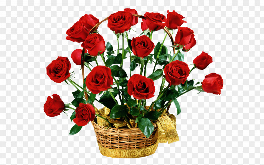 Red Roses Mother's Day Floristry PNG