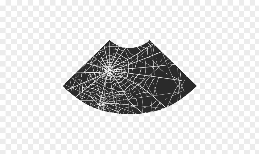 Spider Cobweb Line PNG