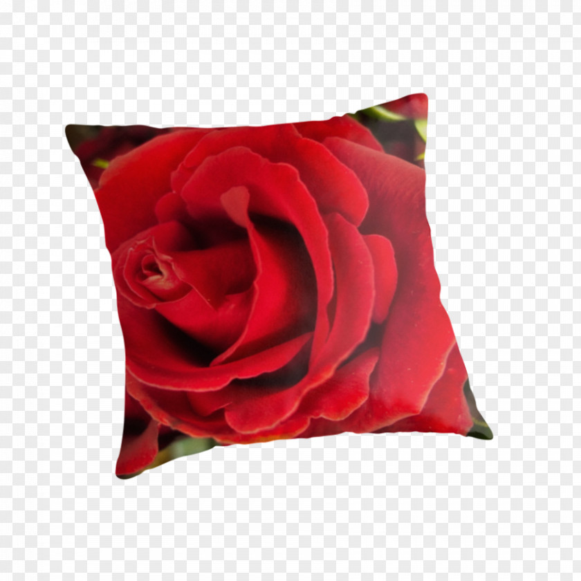 Throw Pillow Garden Roses Pillows Cushion Velvet PNG