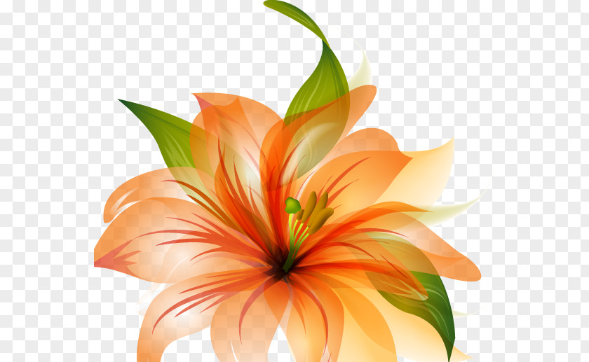 VECTOR FLOWERS Flower Desktop Wallpaper Orange Petal PNG