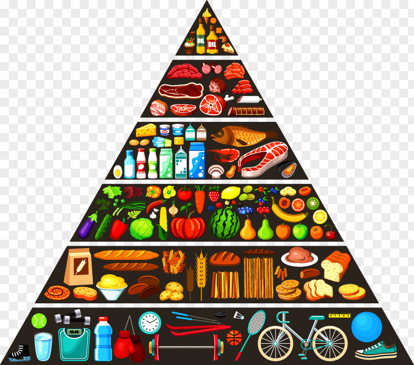 Food Pyramid Nutrient Healthy Eating PNG