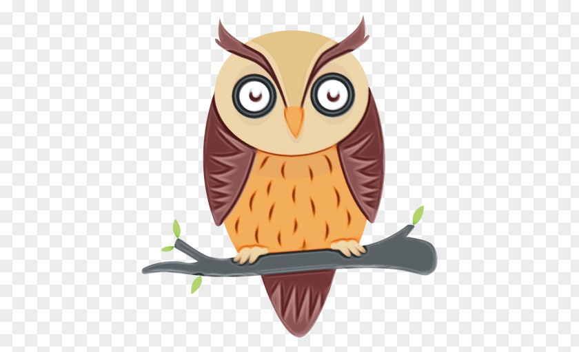 Screech Owl Branch Bird Eastern Of Prey Cartoon PNG