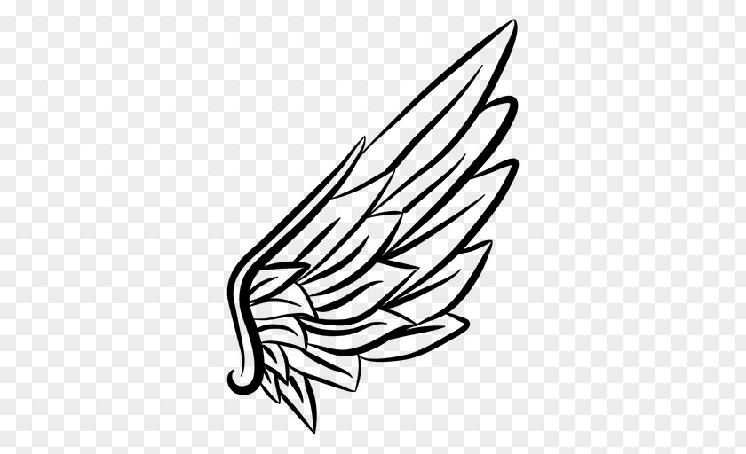 Wing Vector Line Art Drawing Sketch PNG
