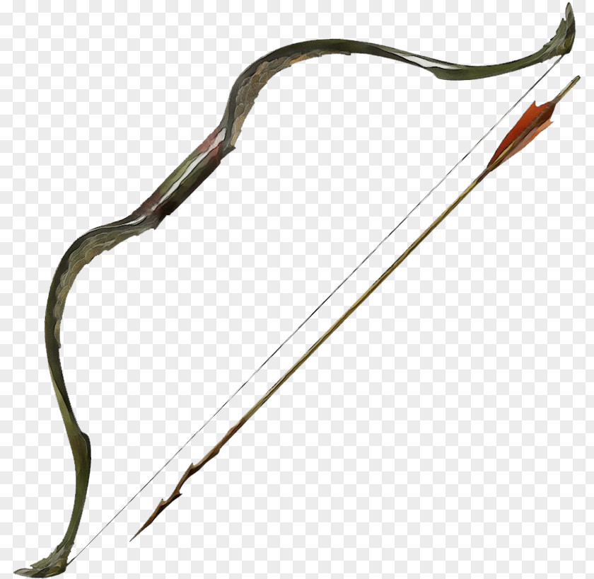 Archery Bow And Arrow PNG
