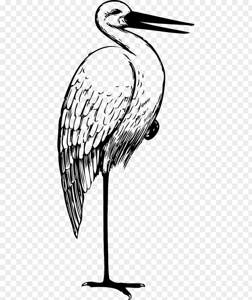 Large Birdcage Shelf White Stork Crane Bird The Clip Art PNG