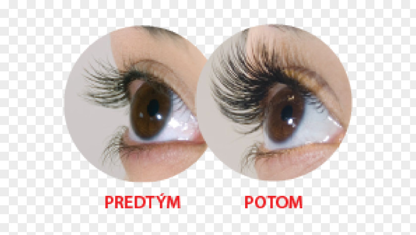 Lash Perm Eyelash Extensions Cosmetics Mascara Eye Liner PNG