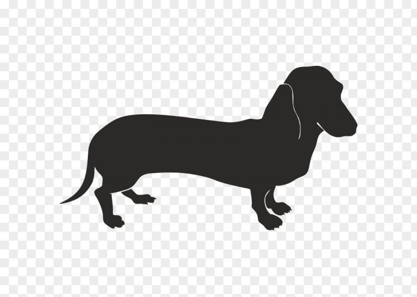 Pastore Tedesco Dachshund Labrador Retriever Pet Sticker Clip Art PNG