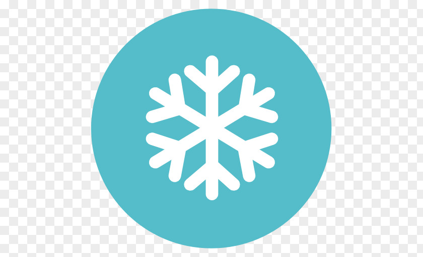 Snow Flake Leaf Tree Symbol Aqua Green PNG