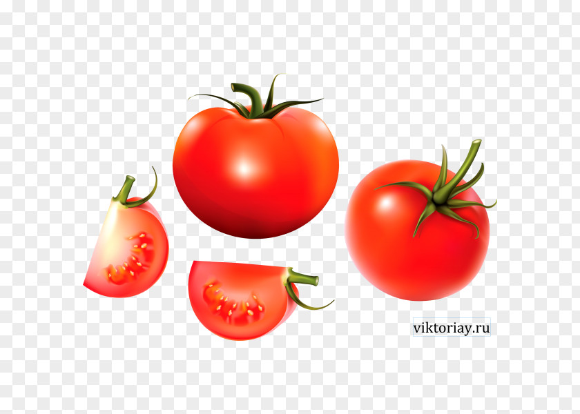Vegetable Plum Tomato Bush Cherry Food PNG