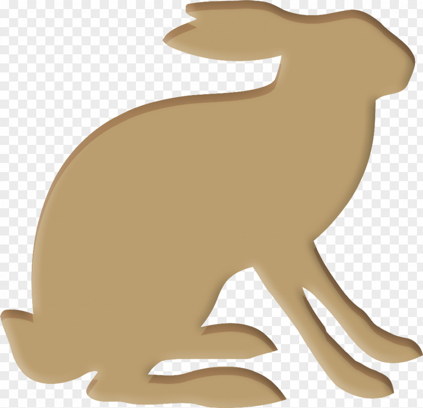 Akshay Kumar European Hare Rabbit Easter Bunny Pet PNG