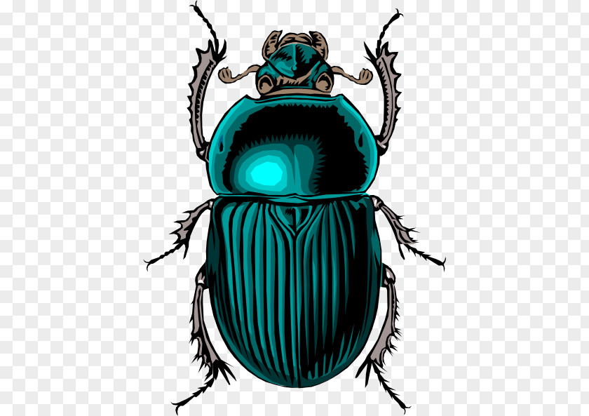 Beetle Cliparts Dung Scarab Clip Art PNG