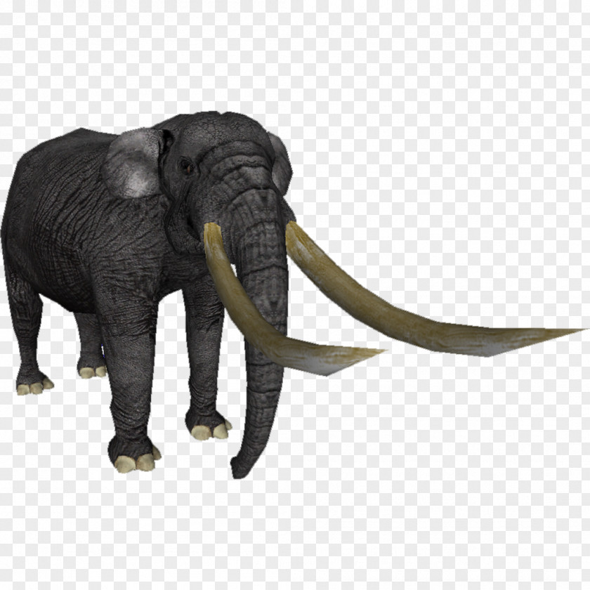 Biome Poster Asian Elephant African Bush Stegodon Tusk PNG