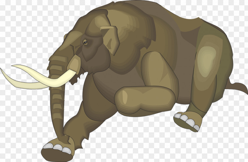 Elephants African Elephant Tusk PNG