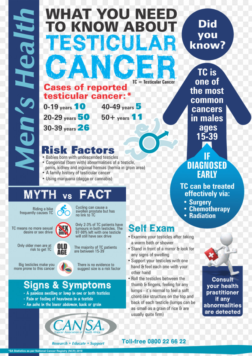 Health Testicular Cancer Testicle Prostate PNG