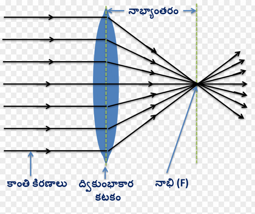 Light Refraction Lens Convex Ray PNG