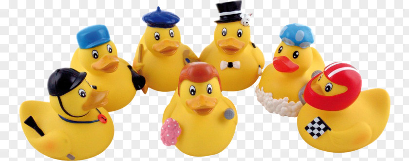 Toy Rubber Duck Child Infant Game PNG