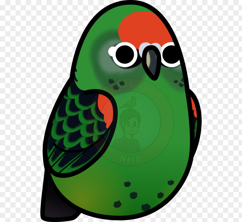Amphibian Beak Clip Art Green Illustration PNG
