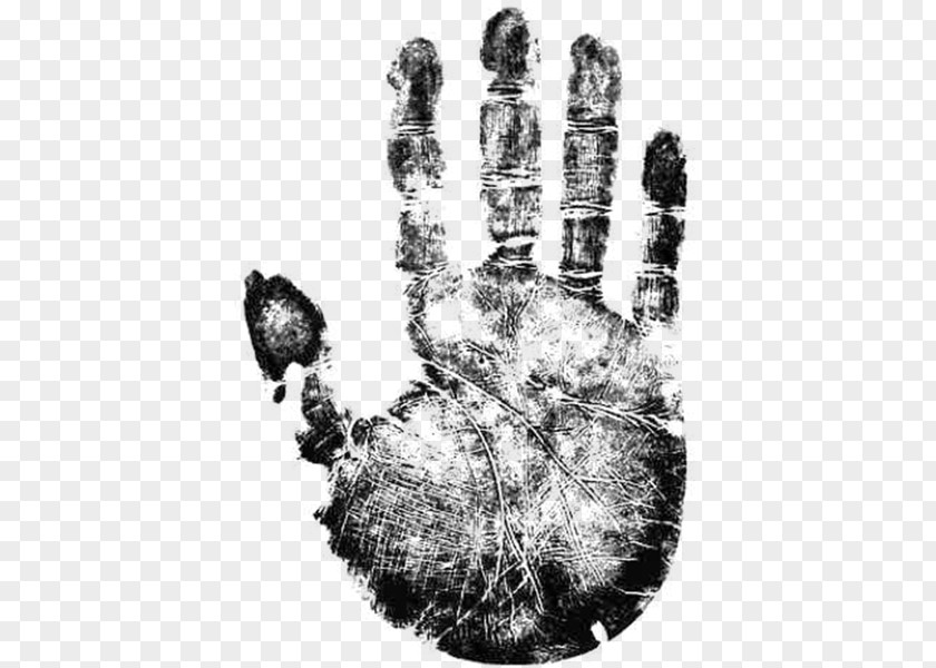 Hand Palmistry Arm Digit Ratio Palm Print PNG