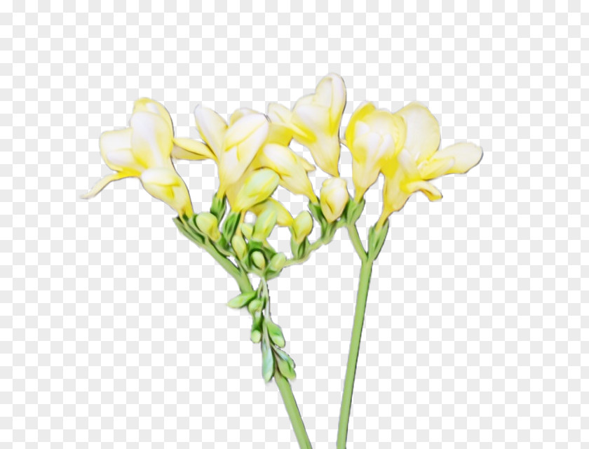 Plant Stem Artificial Flower PNG