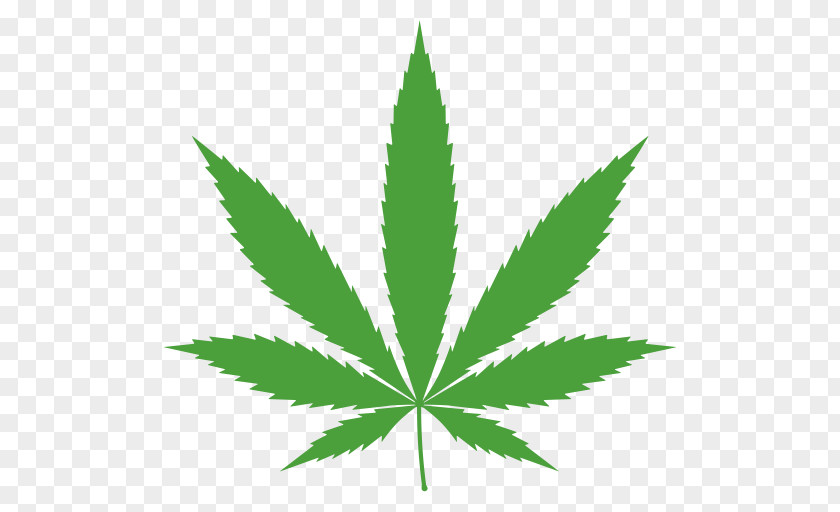 Cannabis Ruderalis Cultivation Leaf Marijuana PNG