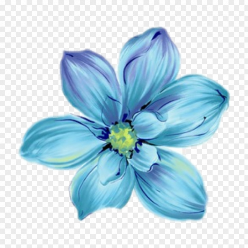 Flower Floral Design Blue Image Red PNG