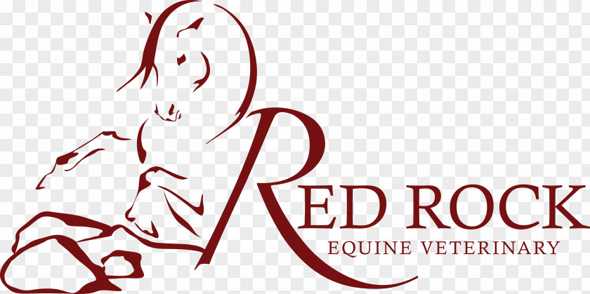 Horse Red Rock Equine Veterinary Inc PS Veterinarian Fall City PNG