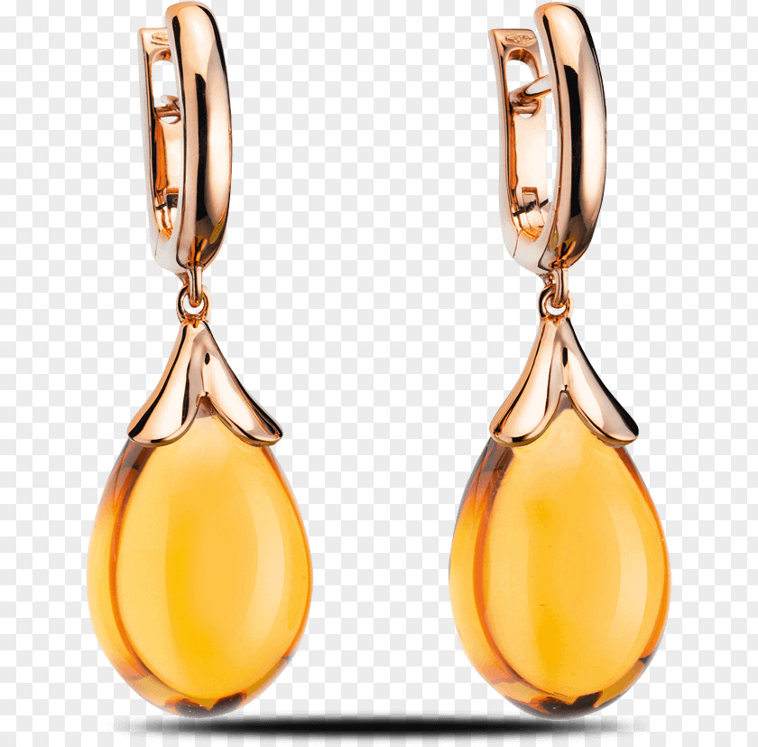 Jewellery Earring Christ Jeweler Amber PNG