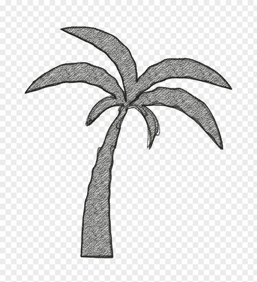 Nature Icon Palm Tree Beach PNG
