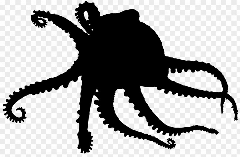 Octopus Clip Art Character Line Silhouette PNG