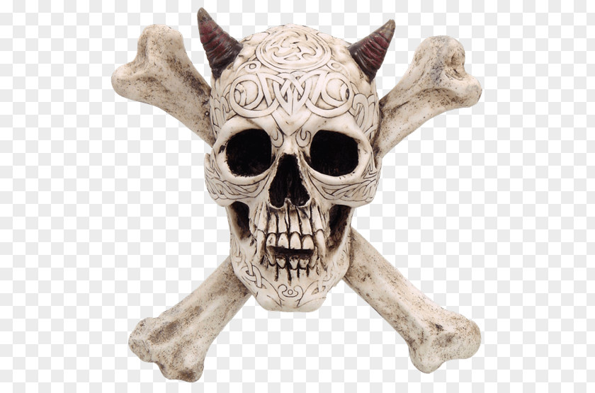 Skull And Crossbones Horn Animal Skulls PNG
