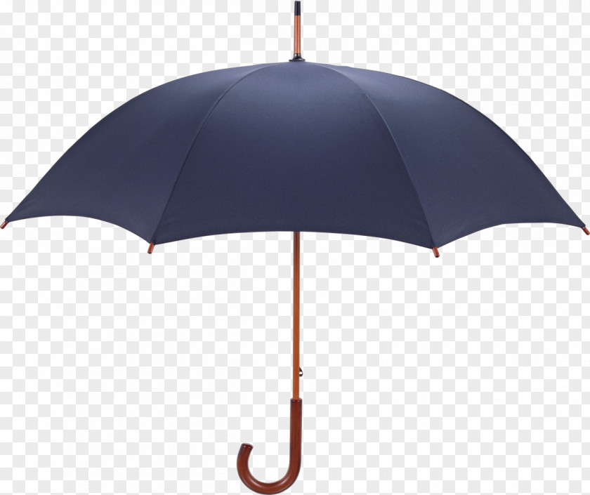 Umbrella Stock Photography PNG