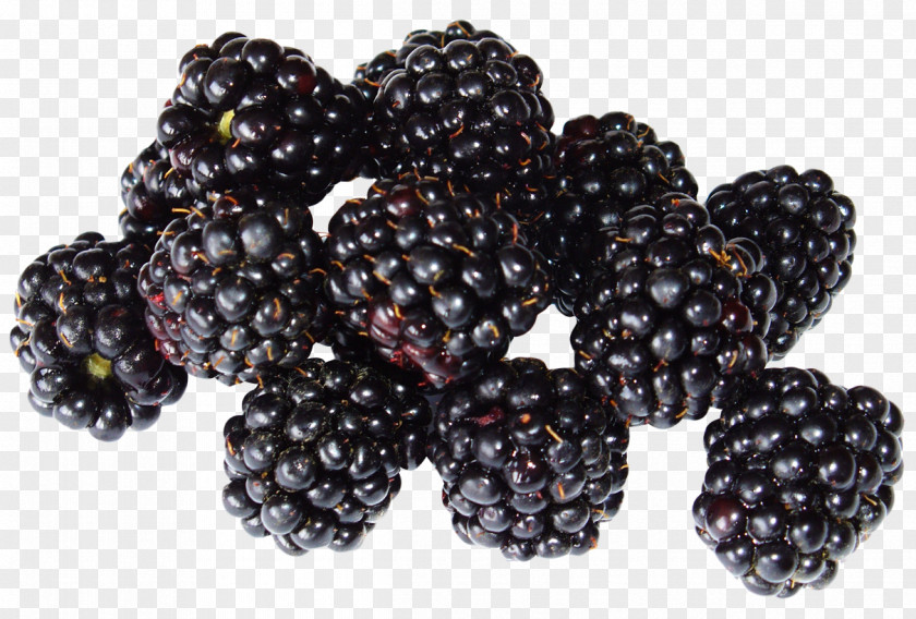 Blackberry Smoothie Fruit Black Raspberry PNG