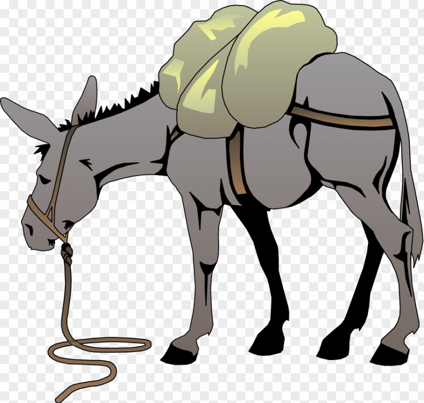 Donkey Cliparts Free Content Clip Art PNG